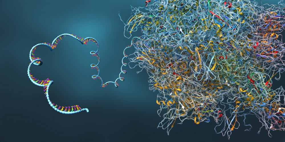 Colorful strands of DNA entwined together